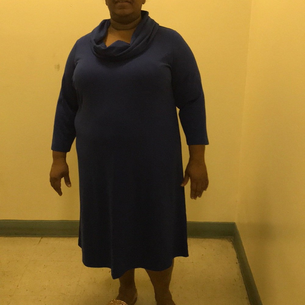 Blue Cowell Neck Dress